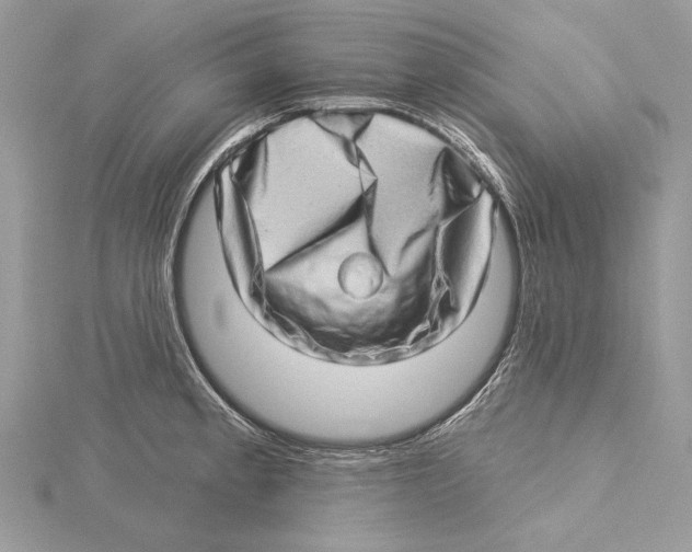 X0000115521189200912040922