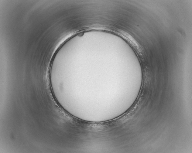 X0000115521190200912040922