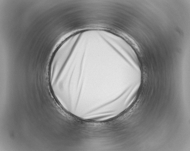 X0000115521192200912040922