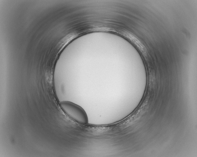 X0000115521193200912040922