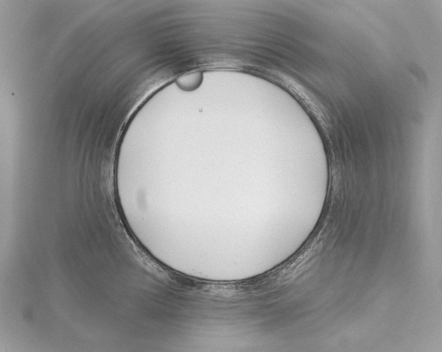 X0000115521194200912040922