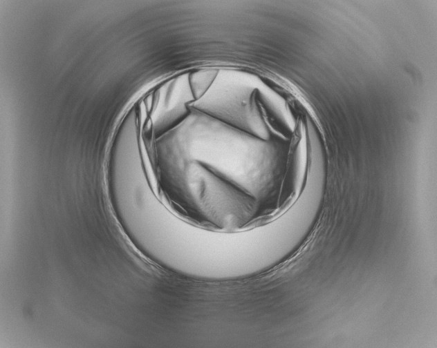 X0000115521195200912040922