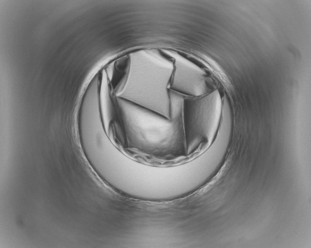 X0000115521196200912040922