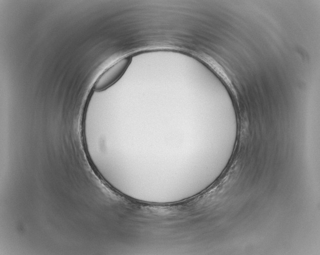 X0000115521197200912040922