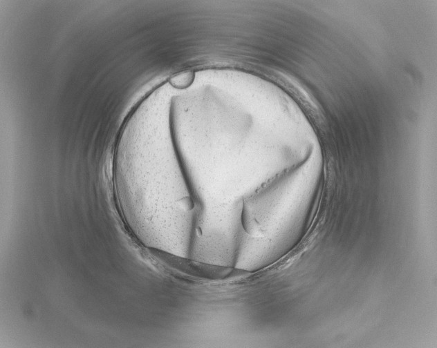 X0000115521198200912040922