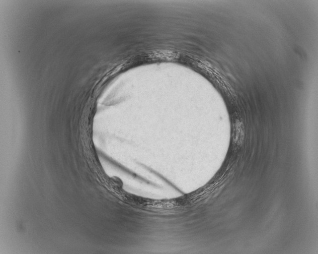 X0000115521201200912040921