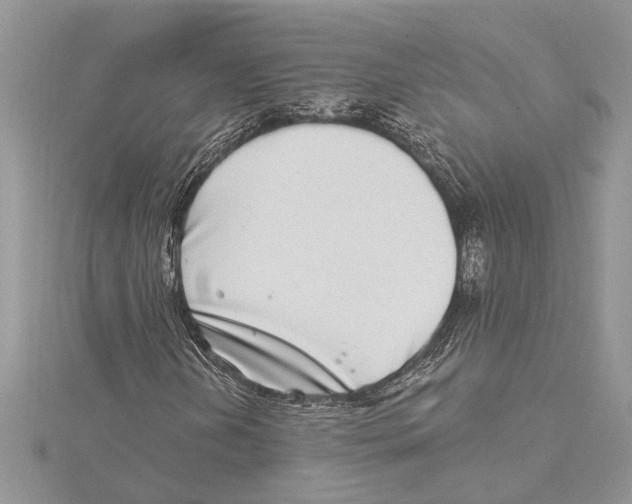 X0000115521202200912040921