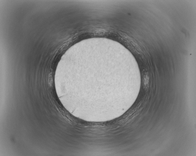 X0000115521204200912040921