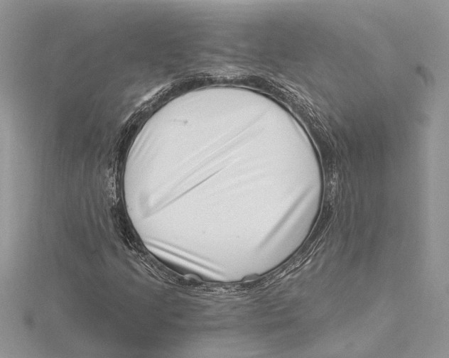 X0000115521205200912040921