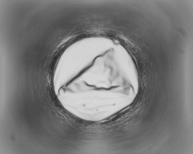 X0000115521206200912040921