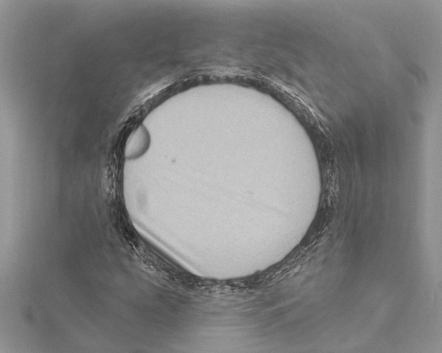 X0000115521207200912040921