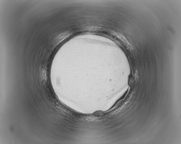 X0000115521209200912040921