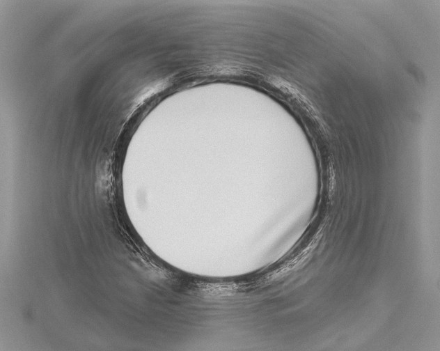 X0000115521210200912040921