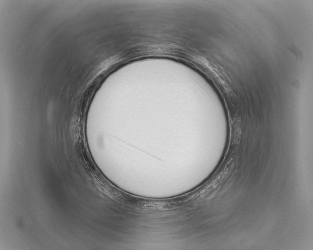 X0000115521211200912040921