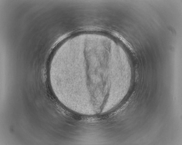 X0000115521213200912040921