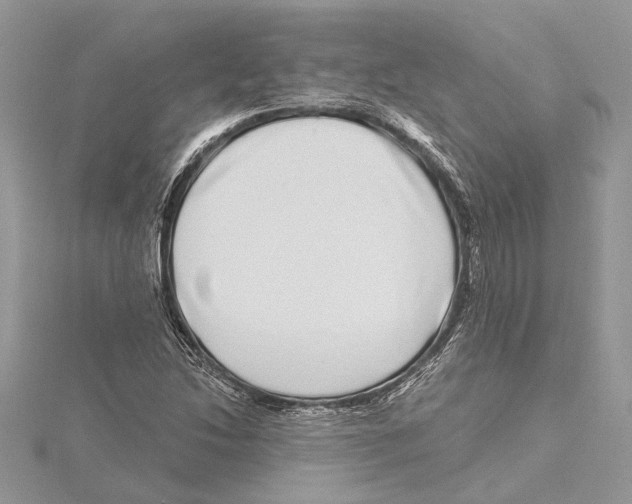 X0000115521214200912040921