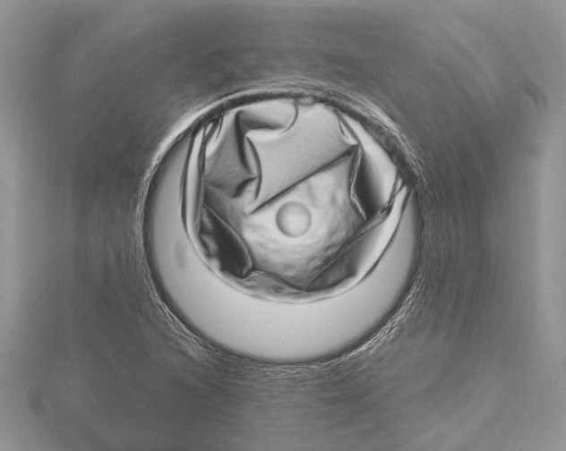 X0000115521216200912040921