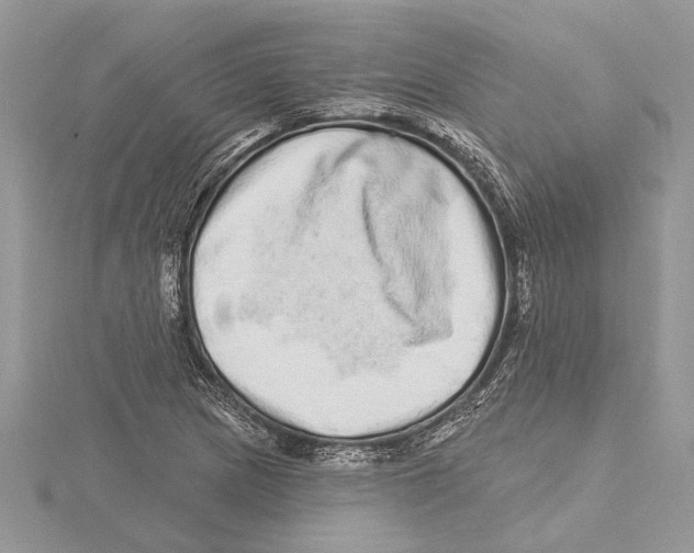 X0000115521217200912040921