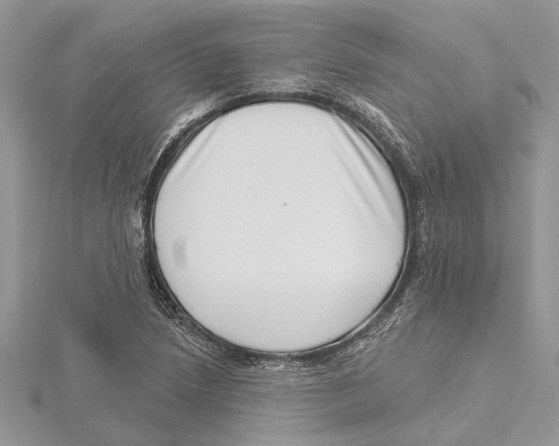 X0000115521218200912040922