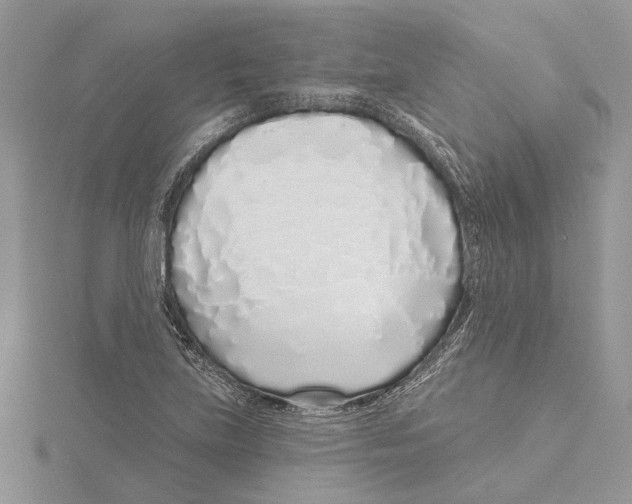 X0000115521219200912040922