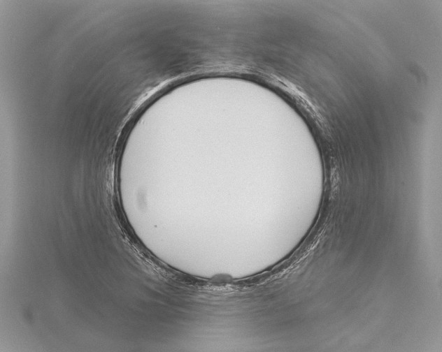 X0000115521220200912040922