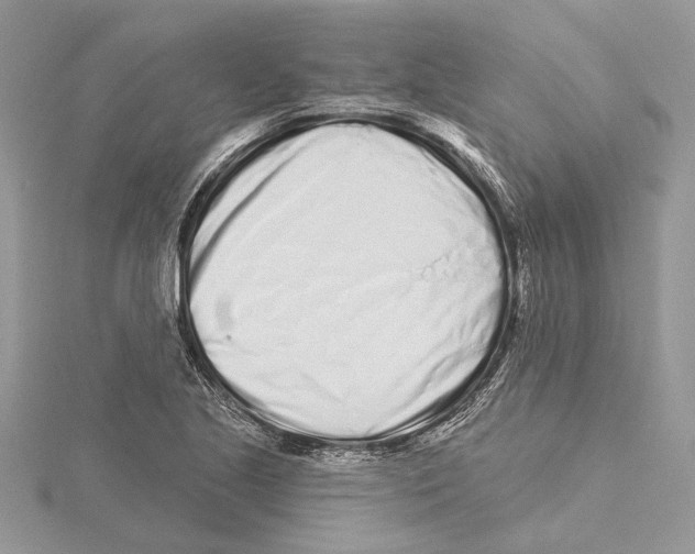 X0000115521221200912040922