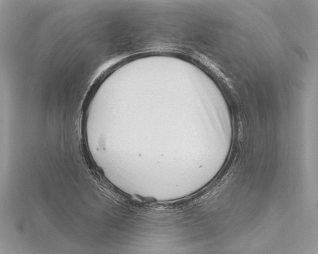 X0000115521222200912040922