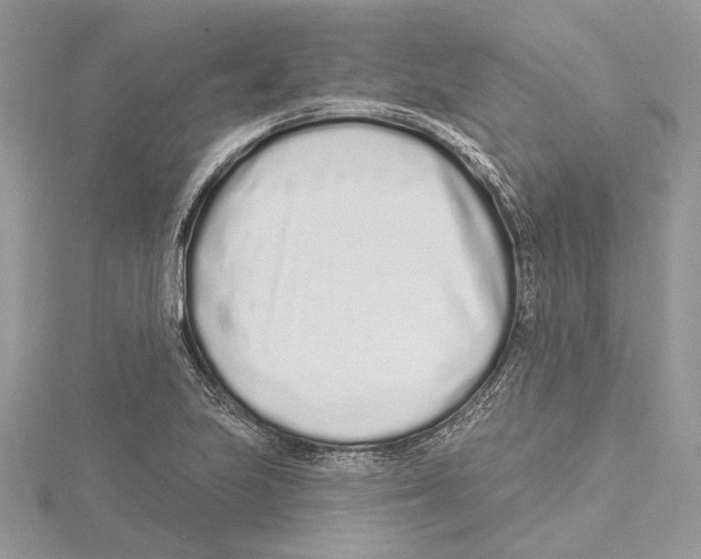 X0000115521223200912040922