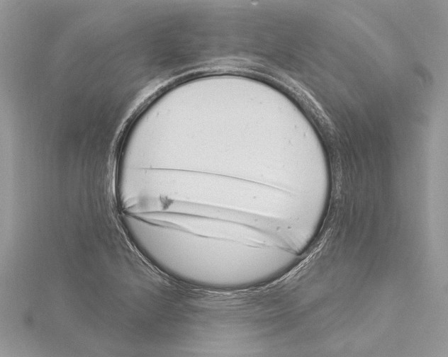 X0000115521224200912040922