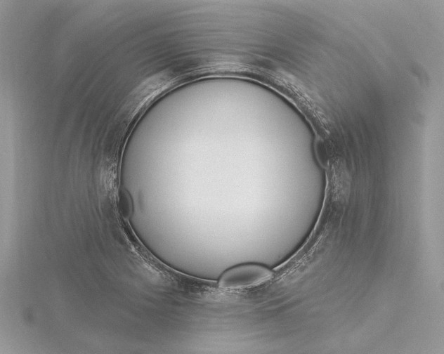 X0000115521225200912040922