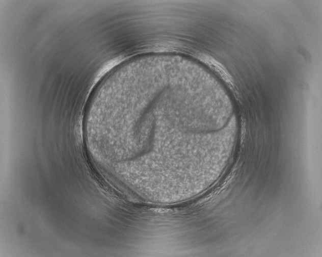 X0000115521226200912040922