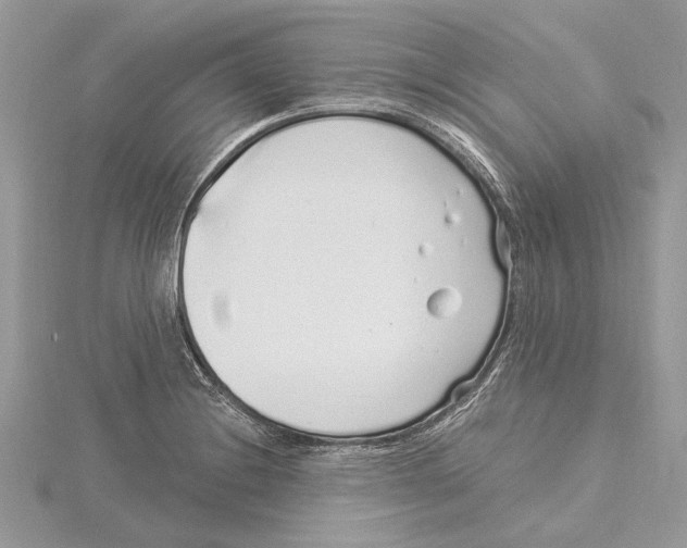 X0000115521228200912040922