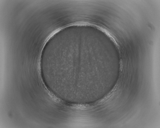 X0000115521229200912040922