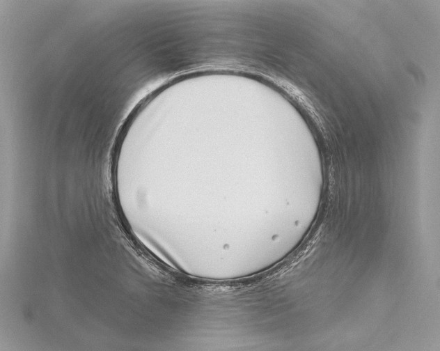 X0000115521230200912040922