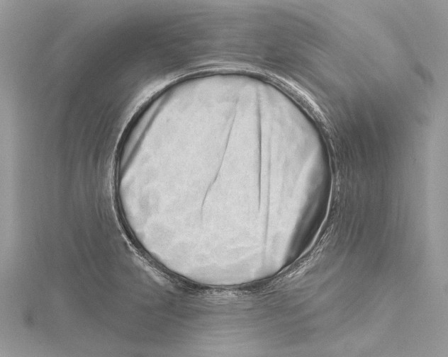 X0000115521231200912040922