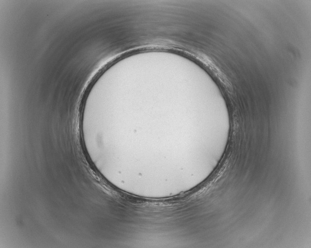 X0000115521232200912040922