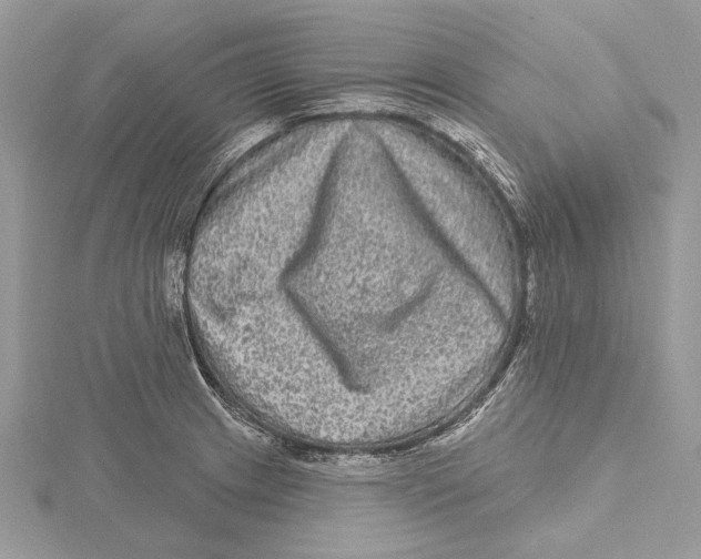 X0000115521233200912040922