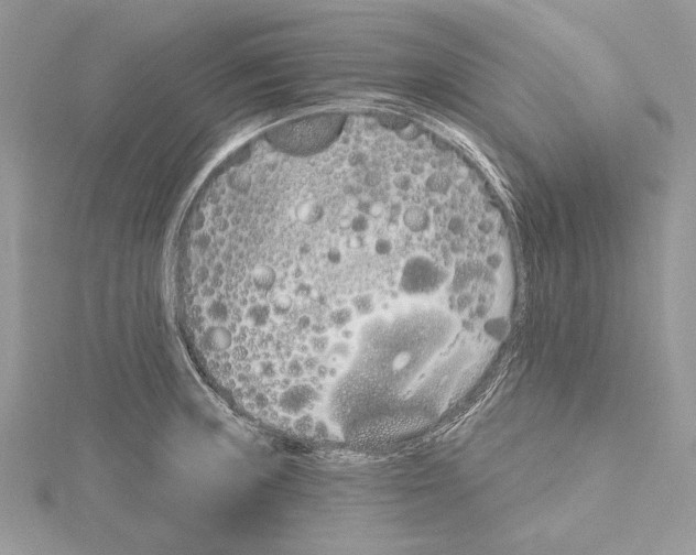 X0000115521235200912040922