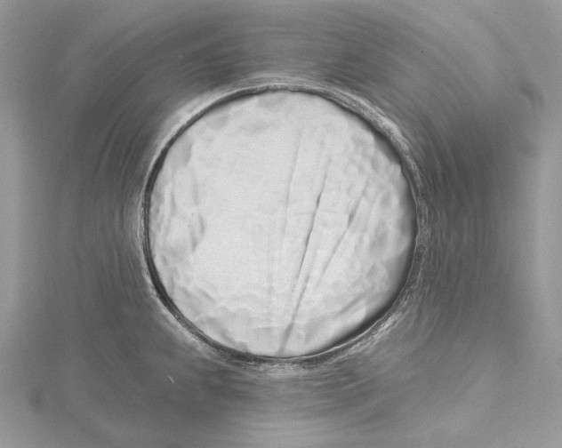 X0000115521239200912040922