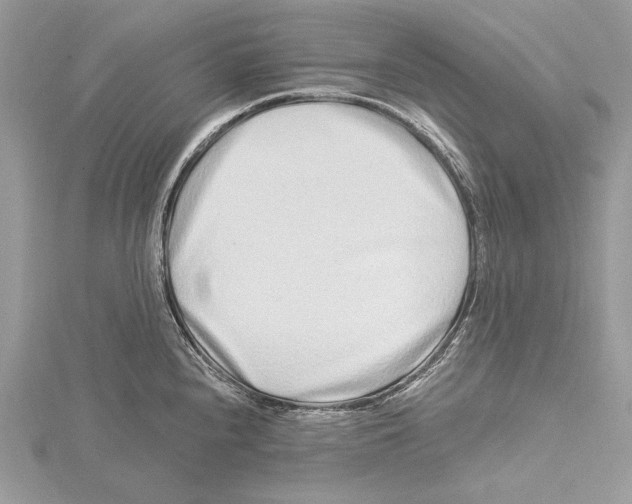 X0000115521240200912040922