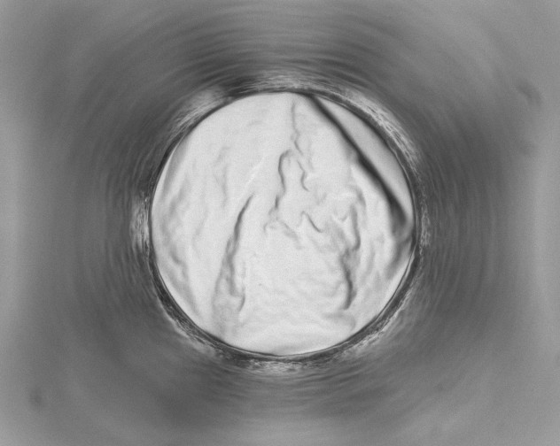 X0000115521241200912040922