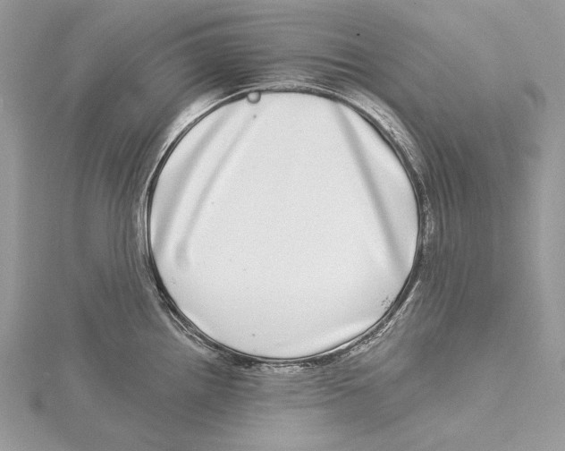 X0000115521242200912040922