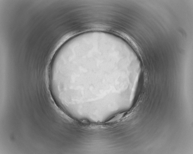 X0000115521243200912040922