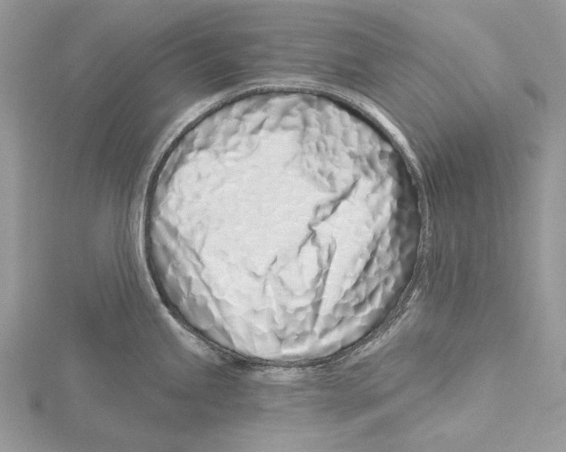 X0000115521245200912040922