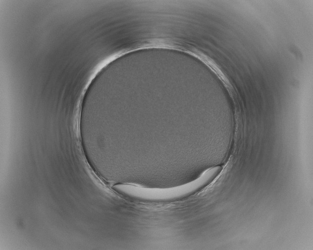 X0000115521246200912040922