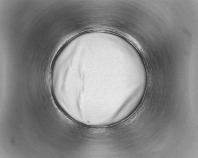 X0000115521247200912040922