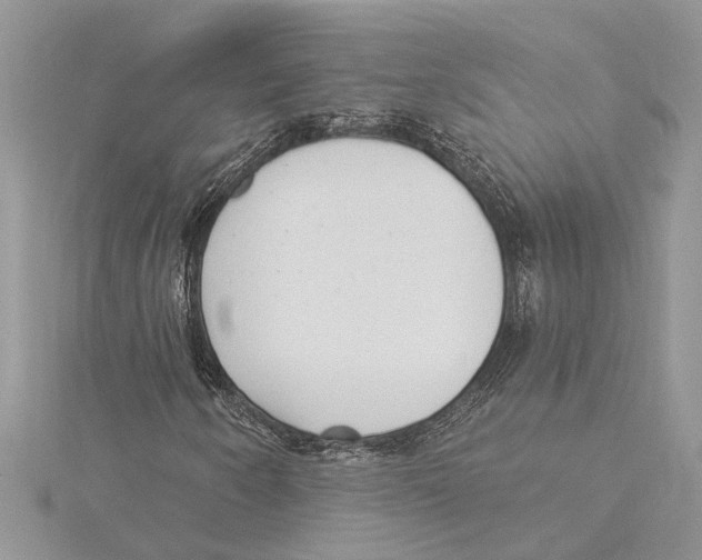 X0000115521250200912040921