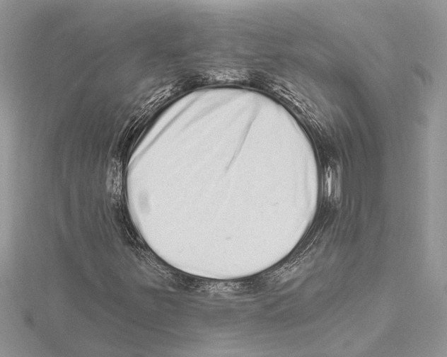 X0000115521251200912040921