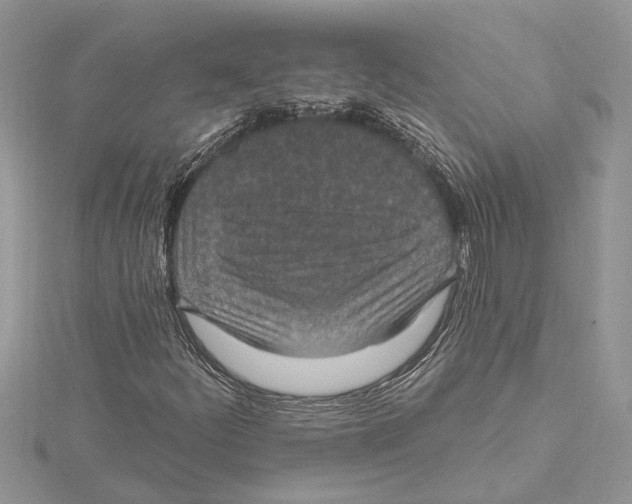 X0000115521252200912040921