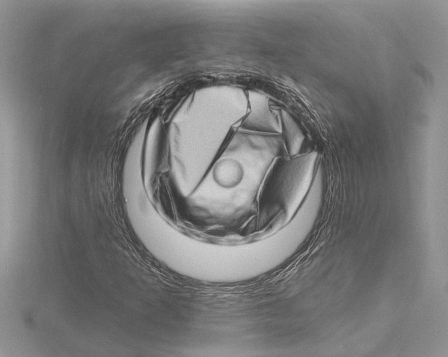 X0000115521253200912040921